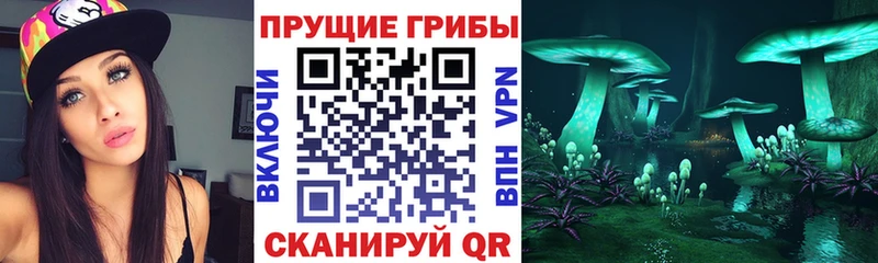 купить наркотик  Сим  Псилоцибиновые грибы прущие грибы 